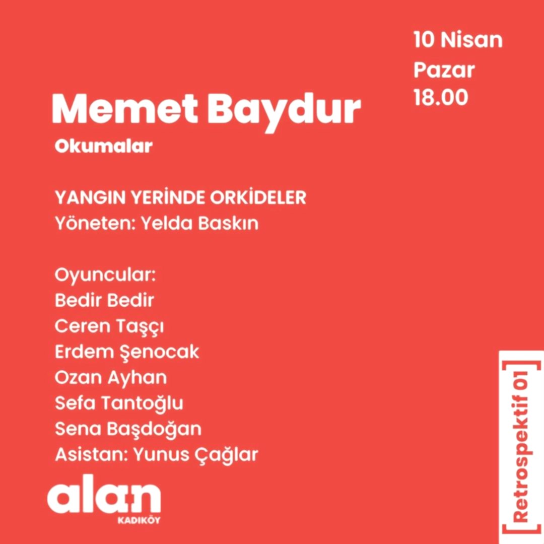 Memet Baydur Yangın Yerinde Orkideler